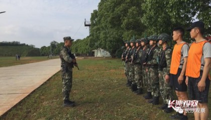  菲尔特战术纪律严明，防守反击战术显成效